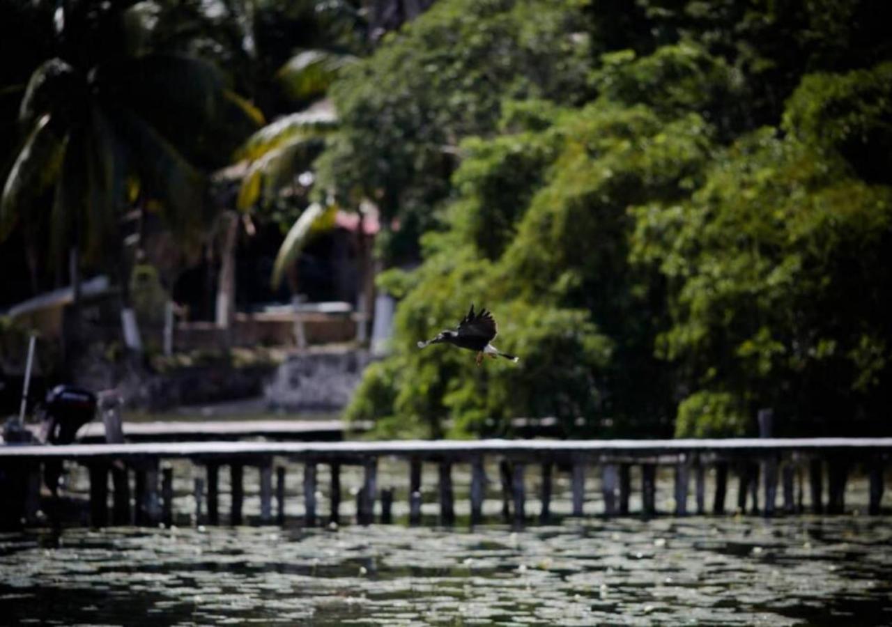 Lagoon Special Suite: Bikes & Kayaks! Bacalar Exterior photo